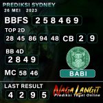 Prediksi Naga SDY 26 MEI 2023