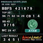 Prediksi Naga SCOT