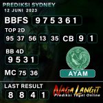 Prediksi Naga SDY 12 JUNI 2023