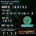 Prediksi Naga SDY 13 JUNI 2023