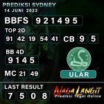 Prediksi Naga SDY 14 JUNI 2023