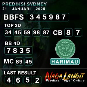 Prediksi Naga SDY 21 JANUARI 2025