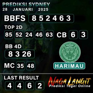 Prediksi Naga SDY 28 JANUARI 2025