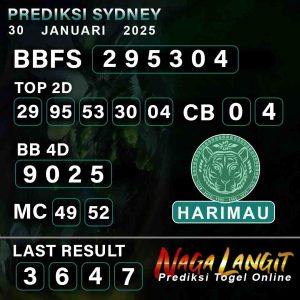 Prediksi Naga SDY 30 JANUARI 2025