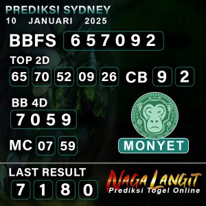 Prediksi Naga SDY 09 JANUARI 2025