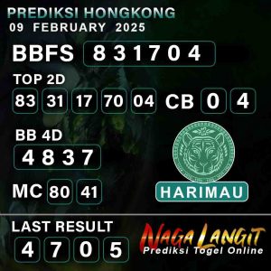 Prediksi Naga HK 09 FEBRUARY 2025