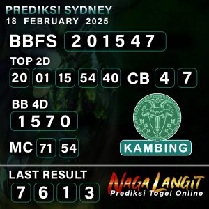 Prediksi Naga SDY 18 FEBRUARY 2025