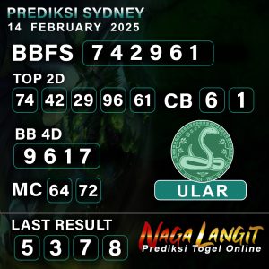 Prediksi Naga SDY 14 FEBRUARY 2025