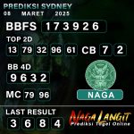Prediksi Naga SDY 08 MARET 2025