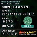 Prediksi Naga SDY 01 MAY 2025